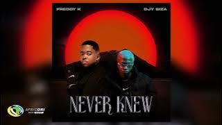 Freddy K and Djy Biza - Never Knew