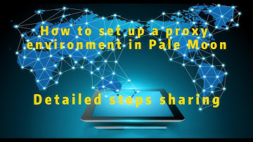 How to use ABCproxy to set up proxy environment in Pale Moon, detailed process share