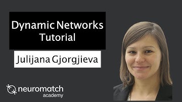 Dynamic Networks Tutorial 1 Video 1