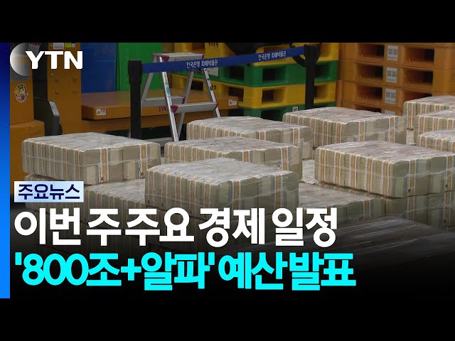 '800조+알파' 내년도 예산 이번 주 발표  전망 / YTN