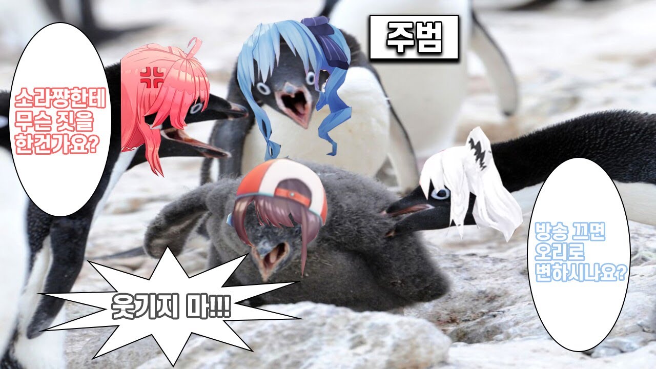 후부미코멧의 스바루 학대ㅋㅋㅋㅋㅋㅋ [사쿠라 미코 & 시라카미 후부키 & 호시마치 스이세이 & 오오조라 스바루 / 홀로라이브]