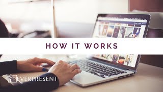 Digital Photo Organizing with EverPresent