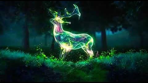 Marian College Kuttikanam Autonomous| B.com Batch C|Celestians| Official Trailer