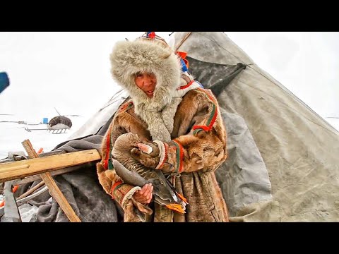 С полем! Лучшие охотничьи выпуски: Как охотятся ненцы | Охота на гуся | Выживание за полярным кругом