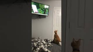 Geliyor... Havalı Geliyor...