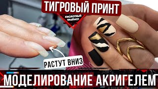 Тигровый принт на ногтях🐅 Коррекция клюющих ногтей акригелем🔥 Животный принт😍