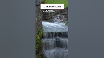 OM SYSTEM OM-5 top features 😍 #omsystem #shorts