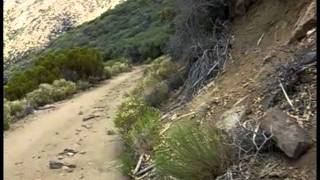 Thomas Mountain & Santa Rosa Mountains Sawmill Camping & Off Road Driving