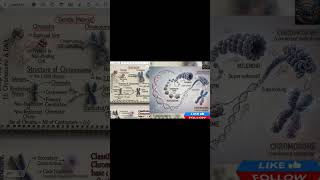 Chromosome Secrets Explained | DNA, Chromatin & Genetics Full Lecture #Nabeel Arif Biologist part 1