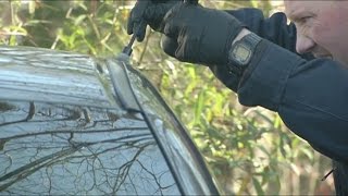 6th Suspect in Custody After Alleged Thursday Crime Spree