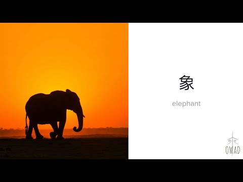 * vintage elephant ❀ * もふもふ 小さな 象さん hqdefault.jpg