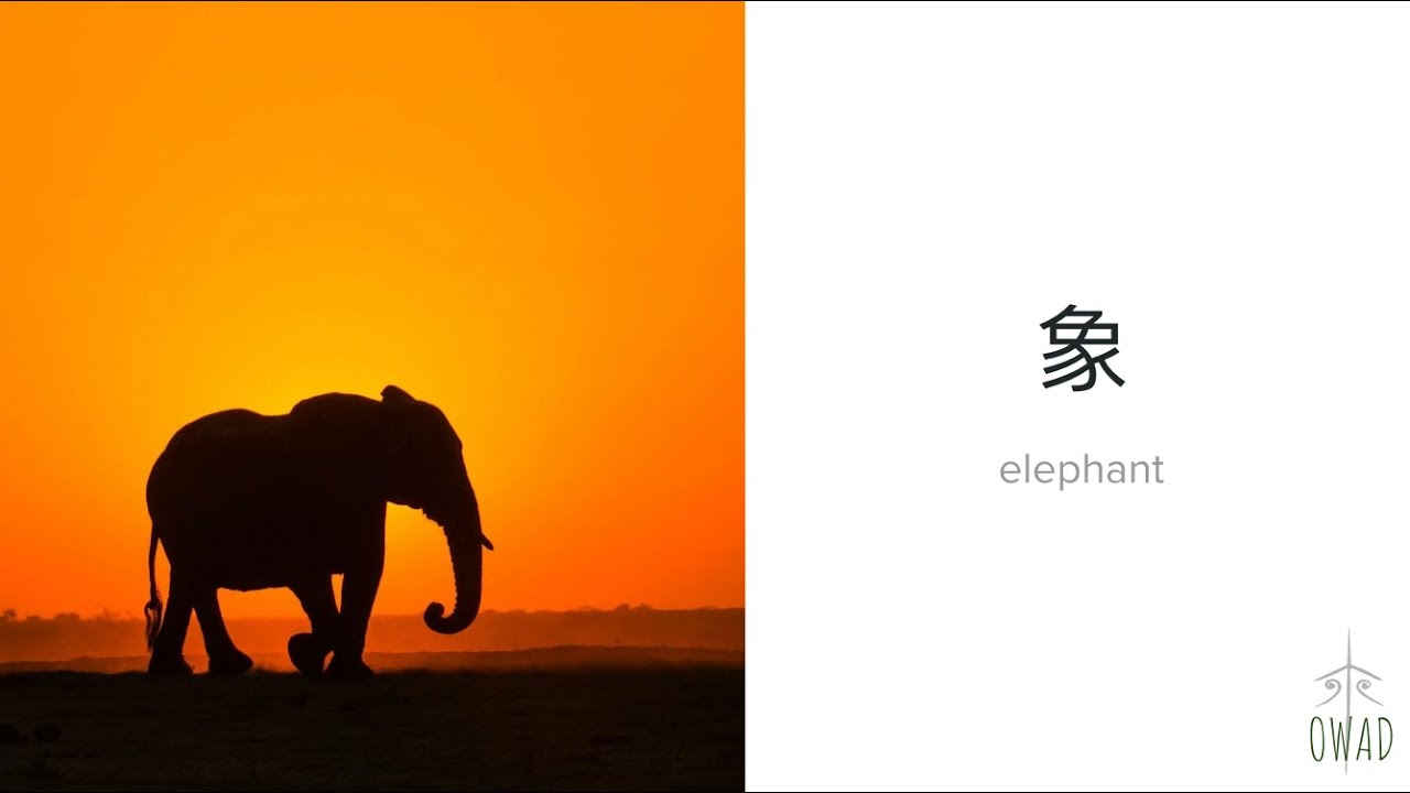 * vintage elephant ❀ * もふもふ 小さな 象さん Elephant (象) | S4E239 | OWAD Learning Mandarin Chinese - YouTube