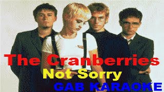 Cranberries - Not Sorry - Karaoke Lyrics Instrumental