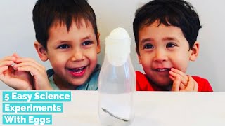 5 Easy Science Experiments with Eggs - Simple Science Experiments for School or Home Easter Learning