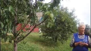 Поліцейські Луганщини підтримують громадян, які продовжують мешкати в деокупованих населених пунктах області