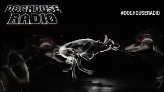 Kaskade \u0026 Wilkinson \u0026 Paige Cavell - Shine On