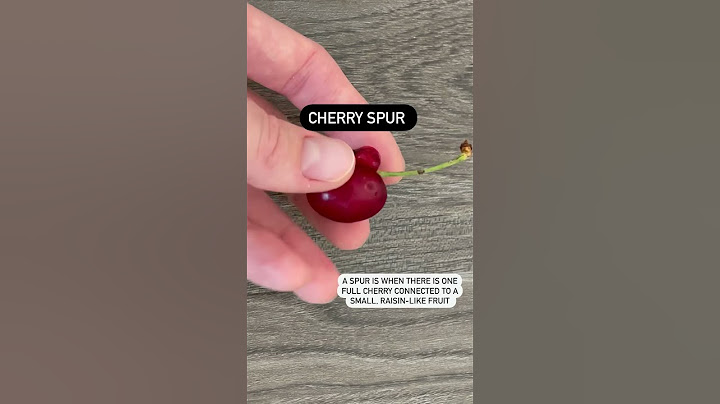 What's the Difference Between Double Cherries and Spurs?