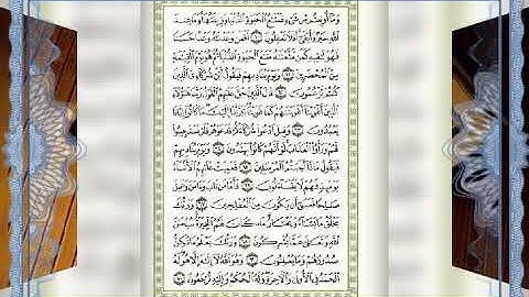 سورة القصص ___الشيخ ماهر المعيقلي