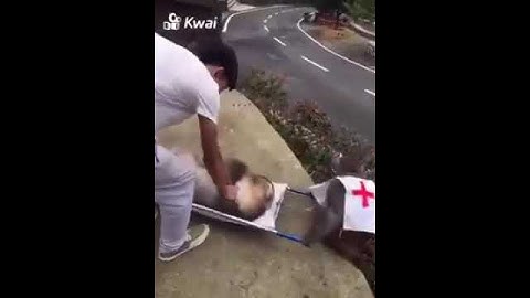 Monkey Paramedics (with sound)