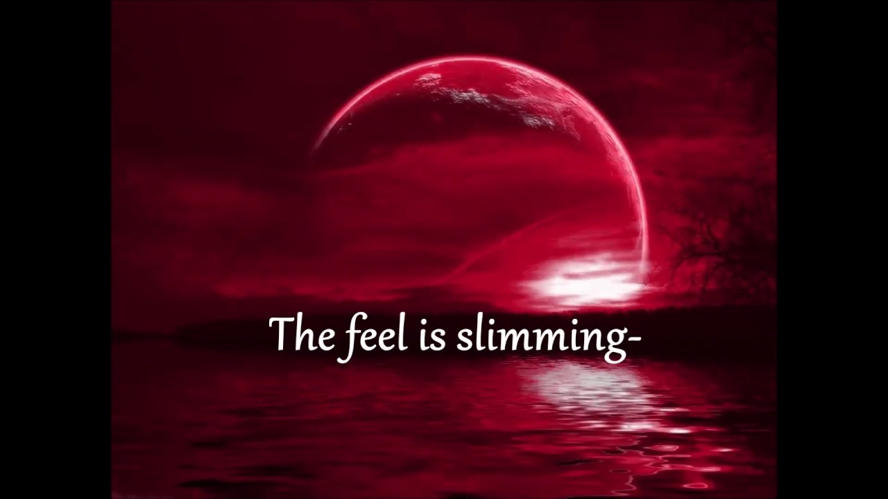 d13L Luge- Shaylene (Lyric Video)