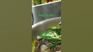 Món Trưa Ngon Miệng: Cá Lóc Hấp Bầu, Bông Bí Rợ - Sự Kết Hợp Hoàn Hảo #cooking #news #viralfood