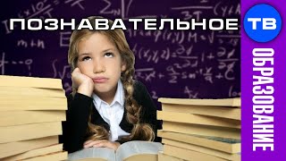 Школа ЖЁСТКО подавляет желание учиться (Артём Войтенков)