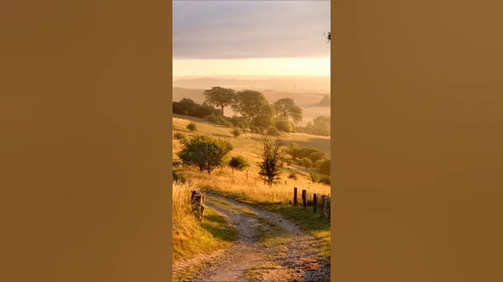 The Power of Love's Destiny | A Timeless Message