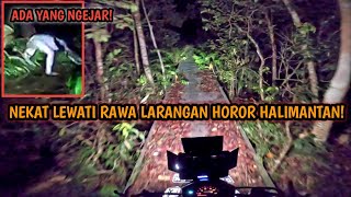 SAMPAI JATUH! NAIK MOTOR JAM 12 MALAM SENDIRI KEHUTAN RAWA LARANGAN HORROR KALIMANTAN.