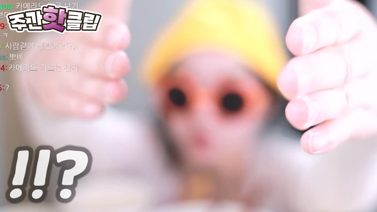 안녕하세요 외계인입니다