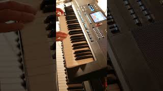 The Sun Always Shines On TV - 80s Music On The Thomann AK-X 1100 / Medeli AKX 10 Keyboard