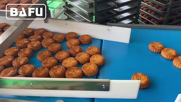 bread packaging machine,cake packaging machine,biscuit packaging machine,flow wrapper,flow-pack