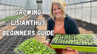 Growing Lisianthus A Beginners Guide Whispering Willow Farm