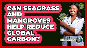 Can Seagrass And Mangroves Help Reduce Global Carbon? - Earth Science Answers