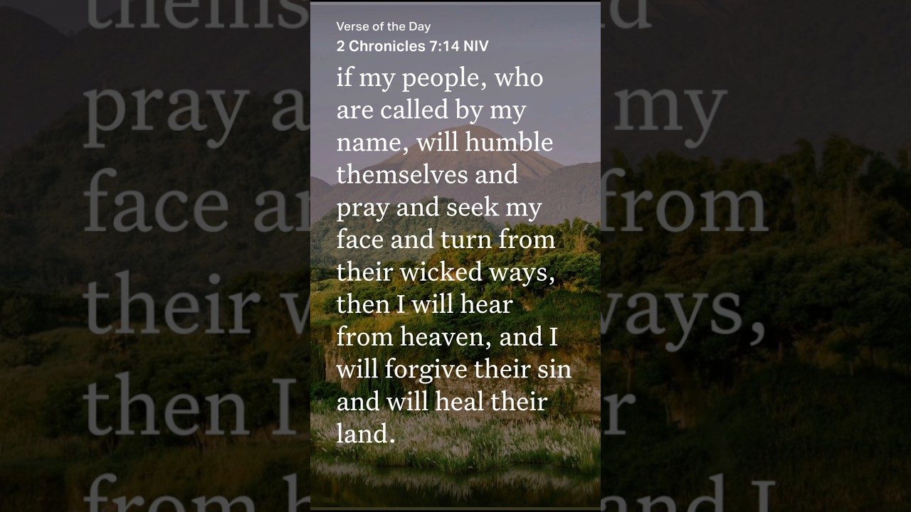 Anyone Else Couldn39t Have Done This - YouTube Auto PHP Script