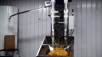Cap Sorting Elevator