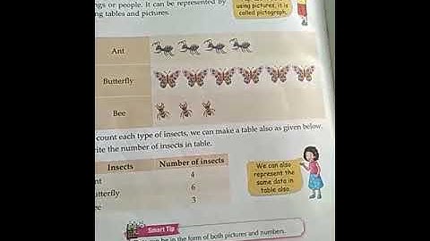 Class - 2, Subject :- Maths, Chapter - 13, Topic-  Data handling, Day- 1, 24/02/2021