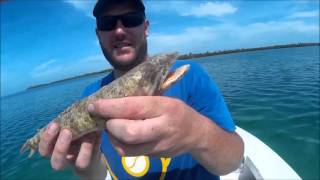 Caye Caulker - September 2015