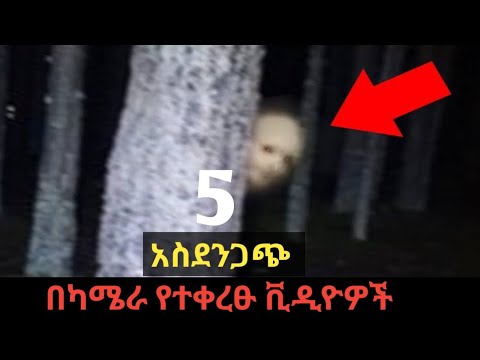 ቪዲዮ: 5 በሆንግ ኮንግ ሱቆችን ለማግኘት ምርጥ ቦታዎች