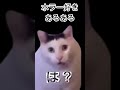 ホラー映画好きあるある #個人vtuber #vtuber #猫ミーム