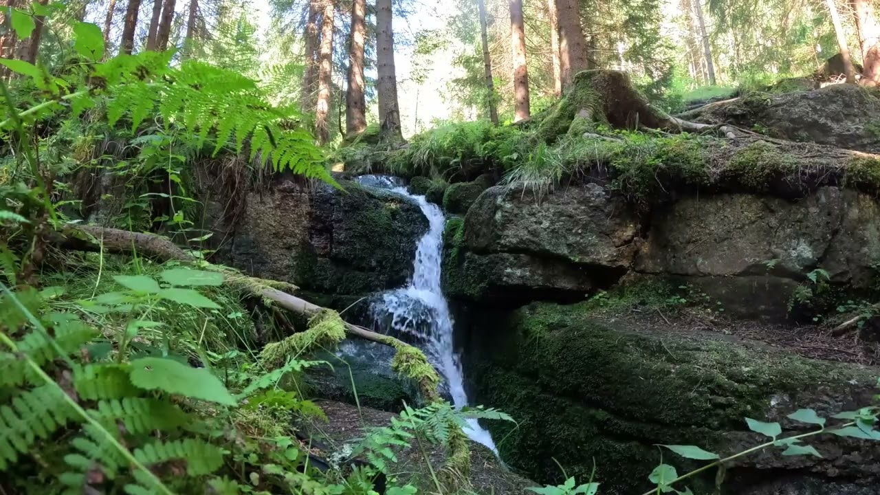 INSTANT RELAXATION 🌿 Forest Waterfall & Stream Sounds (10 HOURS) 4K l 🌿Lesní vodopád a šumění potoka