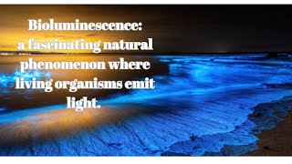 Exploring The Enchanting World Of Bioluminescence A.