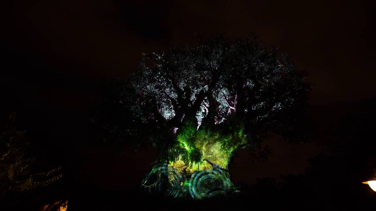 4K Tree of Life Awakening at Disney's Animal Kingdom 2016