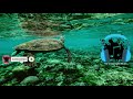 Middle of video