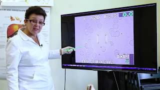 Возбудители кожных заболеваний Возбудители кожных заболеваний