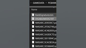 How To Enable Mods On No Man