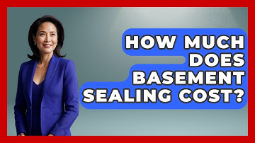 How Much Does Basement Sealing Cost? - Insects and Invaders