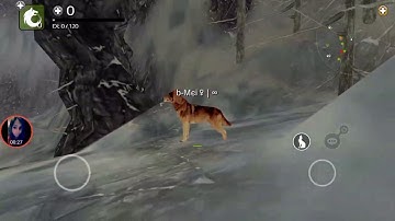 How to be IMMO 2020 with old Mods - Wolf Online - [NO ROOT]