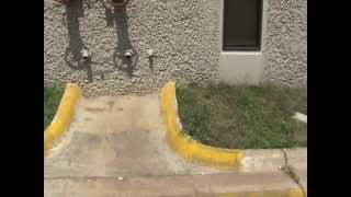 Austin Code Compliance violates parking laws