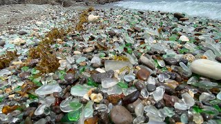 ABSOLUTELY INSANE SEA GLASS BEACH in St. Kitts!!! 10x Absolutely. Insane. 🤣🥳🏴‍☠️