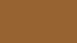 12Hrs of Solid Brown